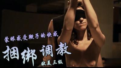 伦理片,三级片【三级】《愉虐秘境》
