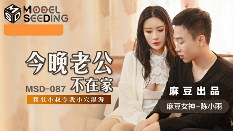 麻豆AV麻豆传媒-今晚老公不在家-陈小雨