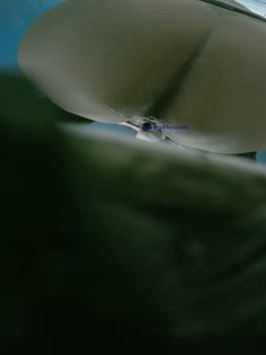 自拍,偷拍,泄密顶级全景蓝色隔板系列第十三期❤️近距离偷窥几个年轻少妇的小黑鲍