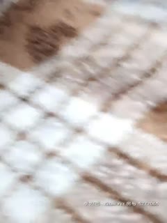 国产自拍年轻小情侣_啪啪_20210209