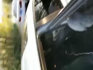 国产自拍高颜值妹子车震口交