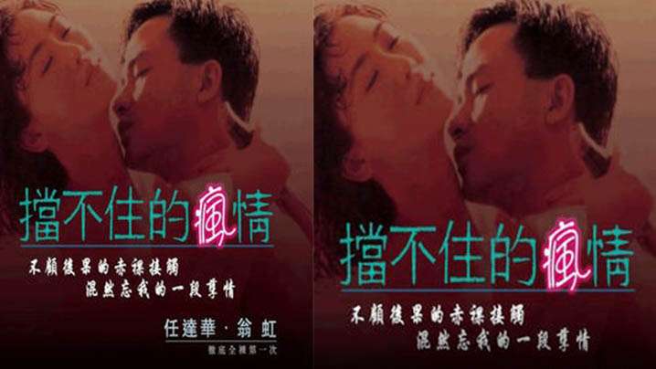伦理片,三级片【香港】擋不住的瘋情(1993)