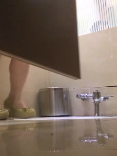 自拍,偷拍,泄密ZT全景厕拍系列16 爱滑冰的红发小姐姐阴唇还挺大