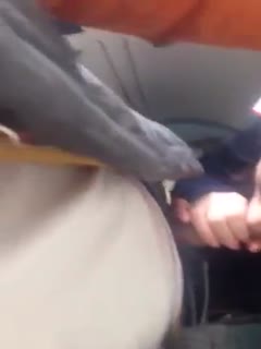 国产自拍勾搭火车列车员到厕所，掏出大鸡巴让她口，没想到口活还挺好舒服的想喊出来，列车员嘘外面有人刺激！