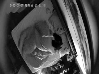自拍,偷拍,泄密2022-9-25流出❤️新台酒店安防摄像头上帝视角偷拍热恋情侣休息开房日夜草不停
