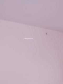 国产自拍【19岁女孩】江苏少女白虎一线天 超大奶✨✨✨白嫩肥美，露脸，谁能干上这逼就爽翻了(3)