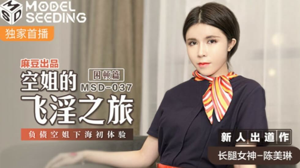 麻豆AV麻豆传媒-空姐的飞淫之旅负债空姐下海初体验-陈美琳