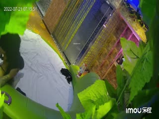 自拍,偷拍,泄密乐橙酒店精品缘叶房偷拍❤️~牛逼眼镜女骚话连连一晚干四次我最喜欢哥哥操 就是这样操~1