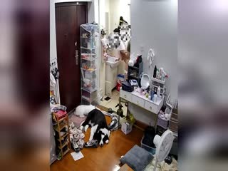 自拍,偷拍,泄密不要轻易招惹发情的男人 你睚眦必报 混蛋 走开 这妹子属于能惹事又不来事 一招反客为主就老实了 很喜欢这种真实生活片段