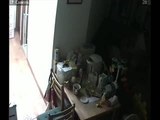 自拍,偷拍,泄密【稀缺摄像头】黑客破解家庭摄像头偷拍❤️知识分子模样小两口客厅看黄片调情情不自禁搞起_2