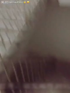 国产自拍有本事你就叫老子杀了你,下夜班的小姐停车场被色狼尾随到楼梯里强干