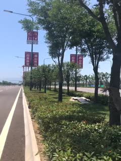 国产自拍真够拼得超萌高颜值学生妹39℃高温下直接露脸脱光光在马路上跳舞