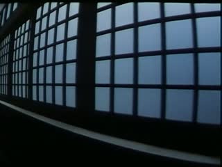 伦理片,三级片三级-女欢【国语中字】