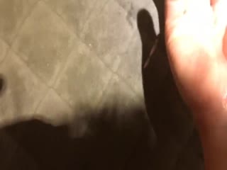 国产自拍身材样貌一流的高颜值大学美女高级公寓被特别会玩的土豪男