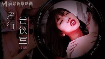 麻豆AVMDWP0023 淫行會議室