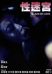 伦理片,三级片性迷宫 Blaze of love(中文字幕)